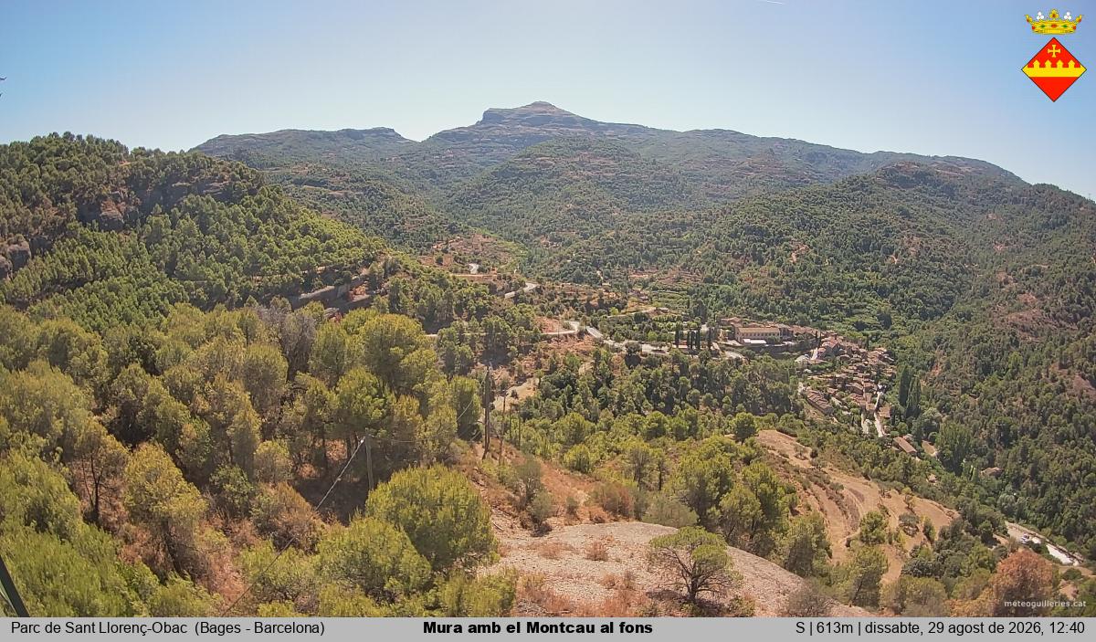 Mura amb el Montcau al fons