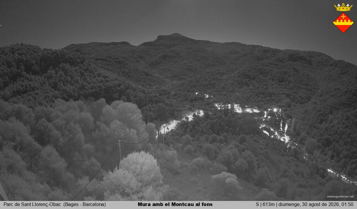 Mura amb el Montcau al fons