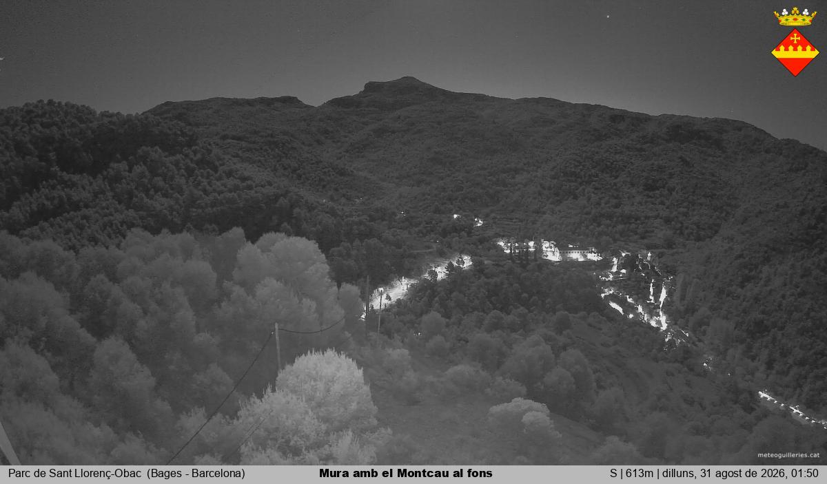 Mura amb el Montcau al fons