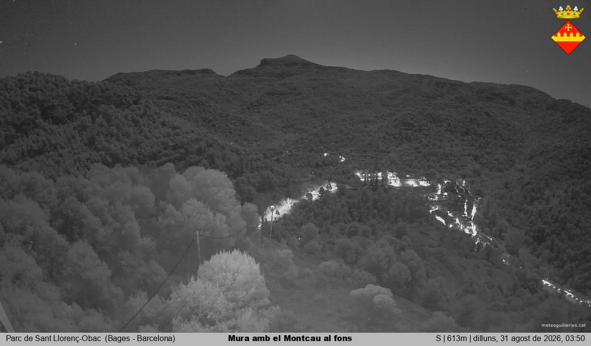 Mura amb el Montcau al fons