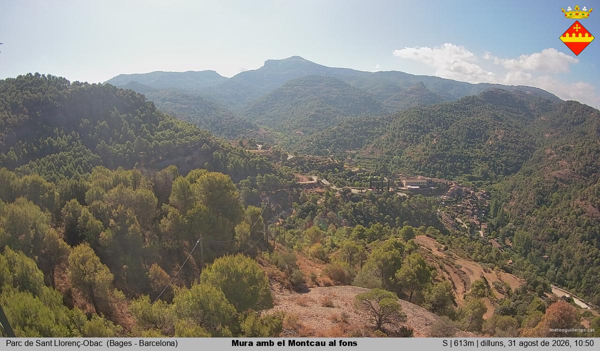 Mura amb el Montcau al fons
