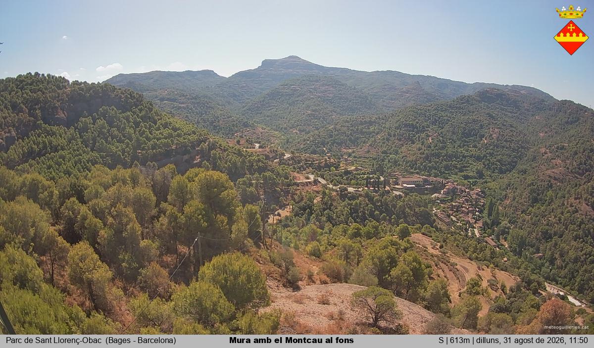 Mura amb el Montcau al fons