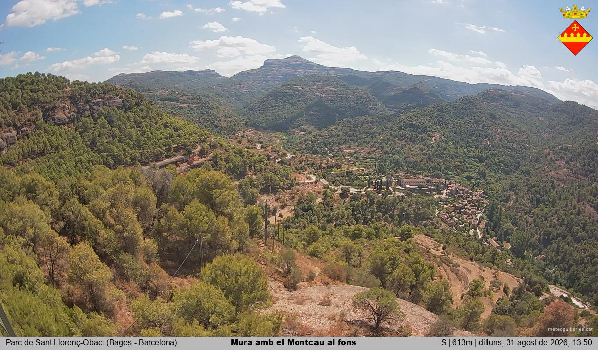 Mura amb el Montcau al fons