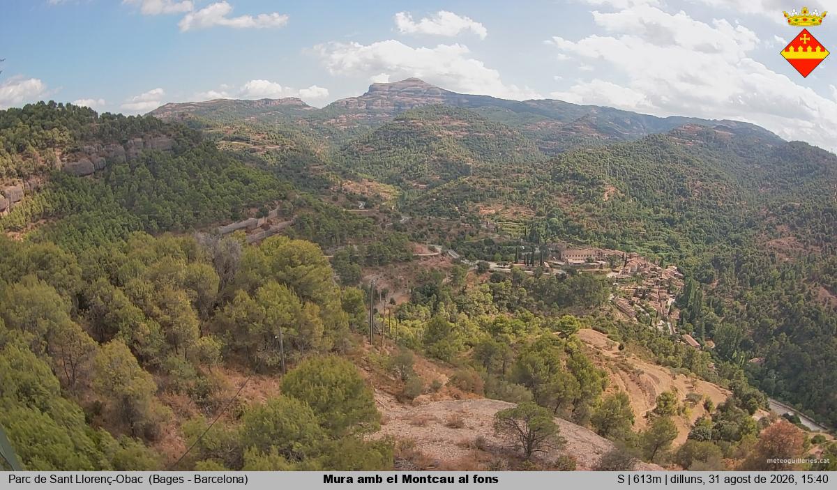 Mura amb el Montcau al fons