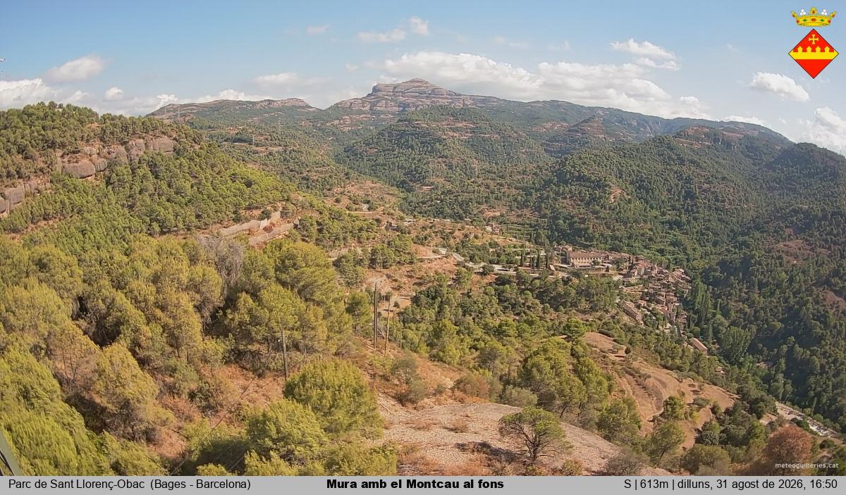 Mura amb el Montcau al fons
