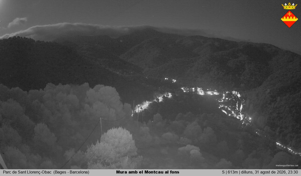 Mura amb el Montcau al fons