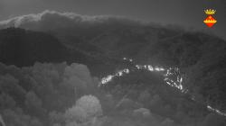 Webcams