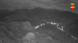 Webcams