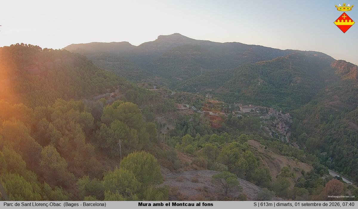 Mura amb el Montcau al fons