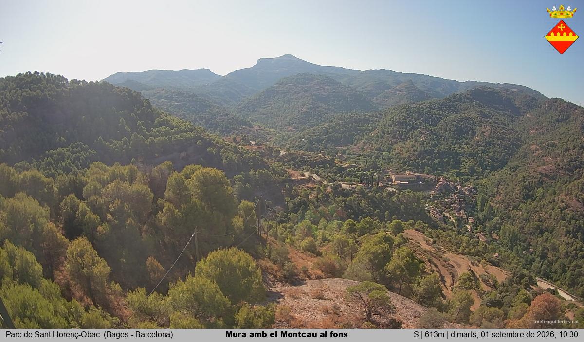 Mura amb el Montcau al fons