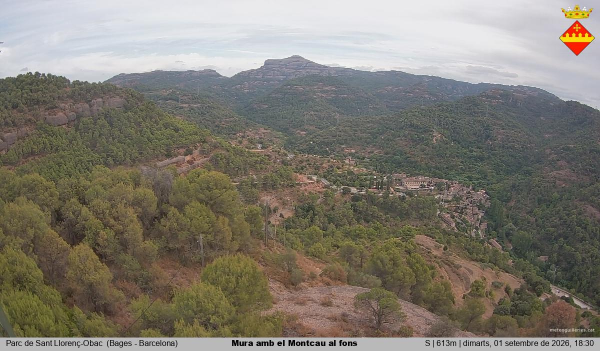 Mura amb el Montcau al fons