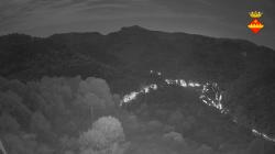 Webcams
