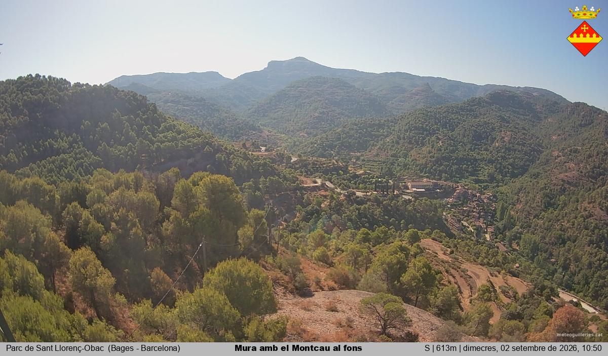 Mura amb el Montcau al fons