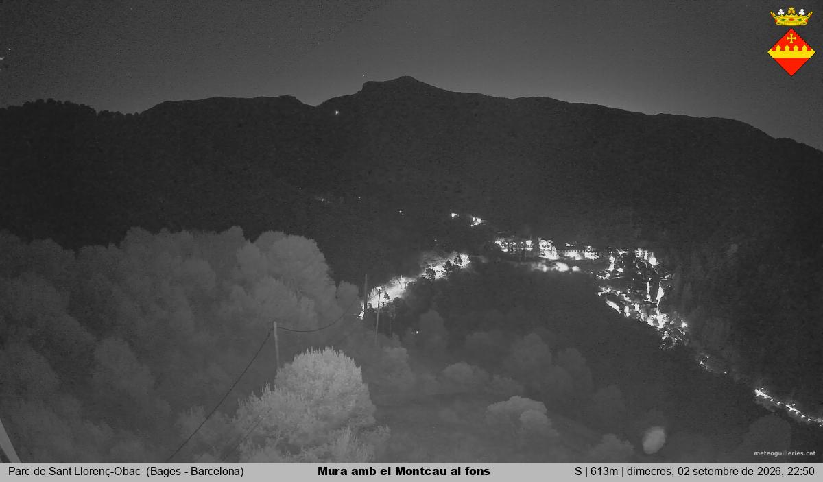Mura amb el Montcau al fons