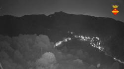Webcams
