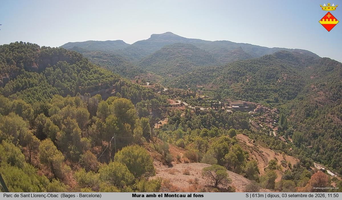 Mura amb el Montcau al fons