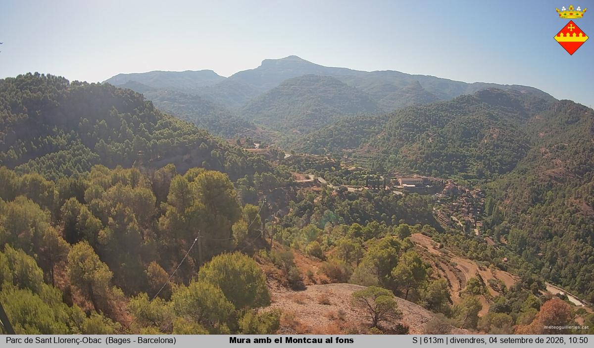 Mura amb el Montcau al fons
