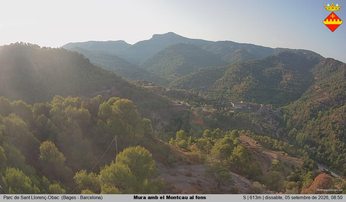 Mura amb el Montcau al fons