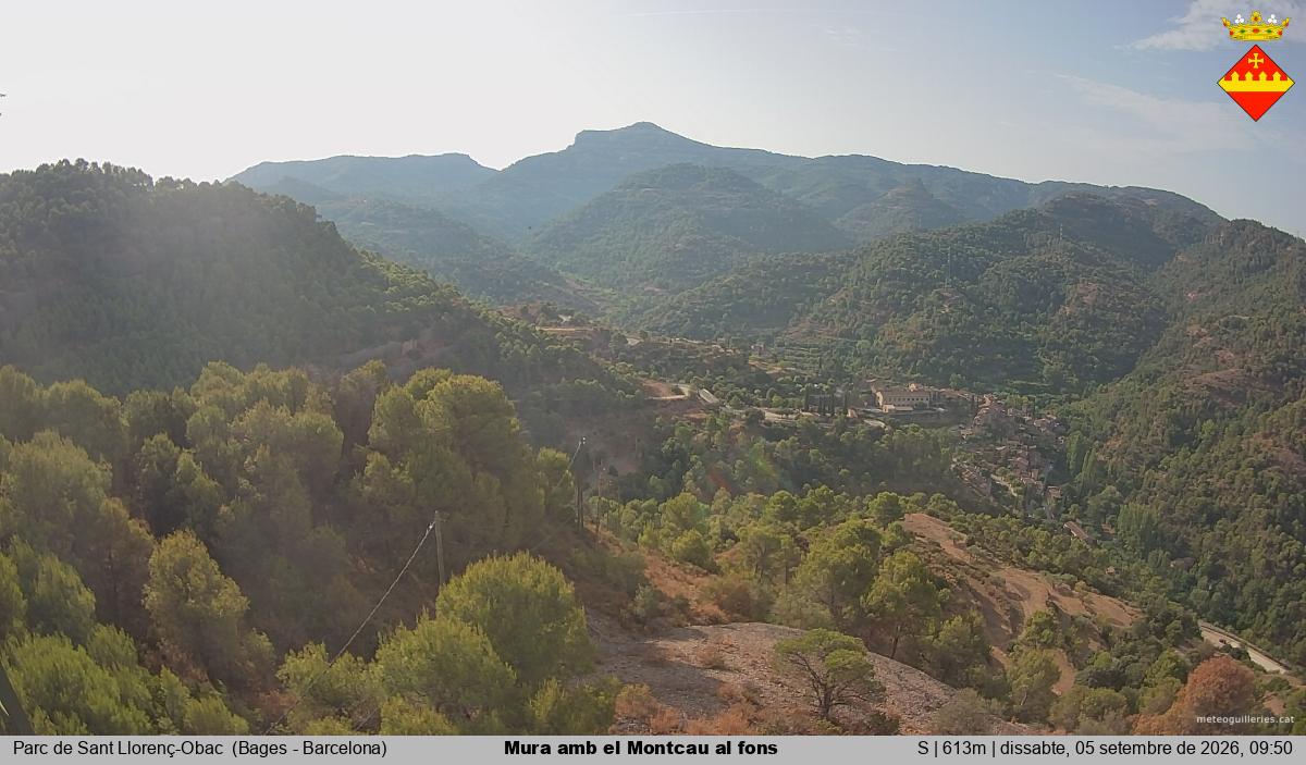 Mura amb el Montcau al fons