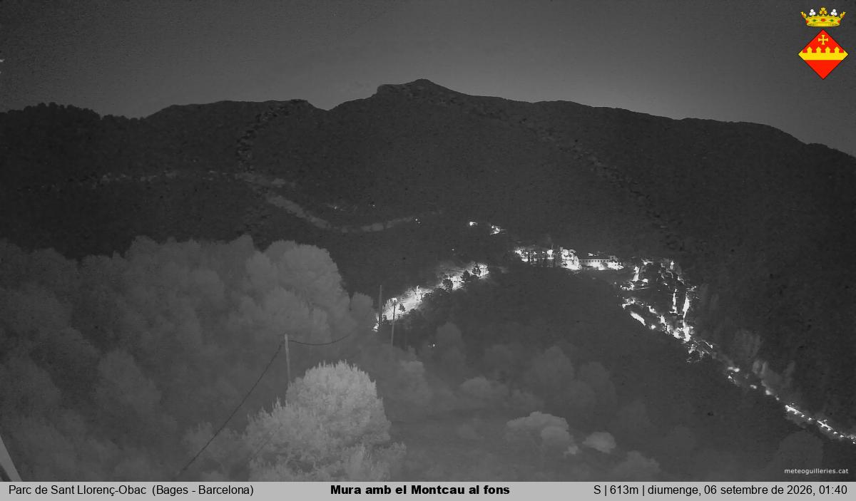 Mura amb el Montcau al fons