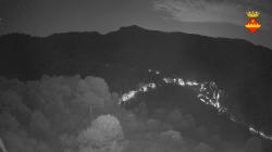 Webcams