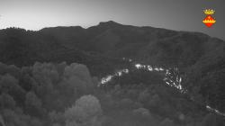 Webcams