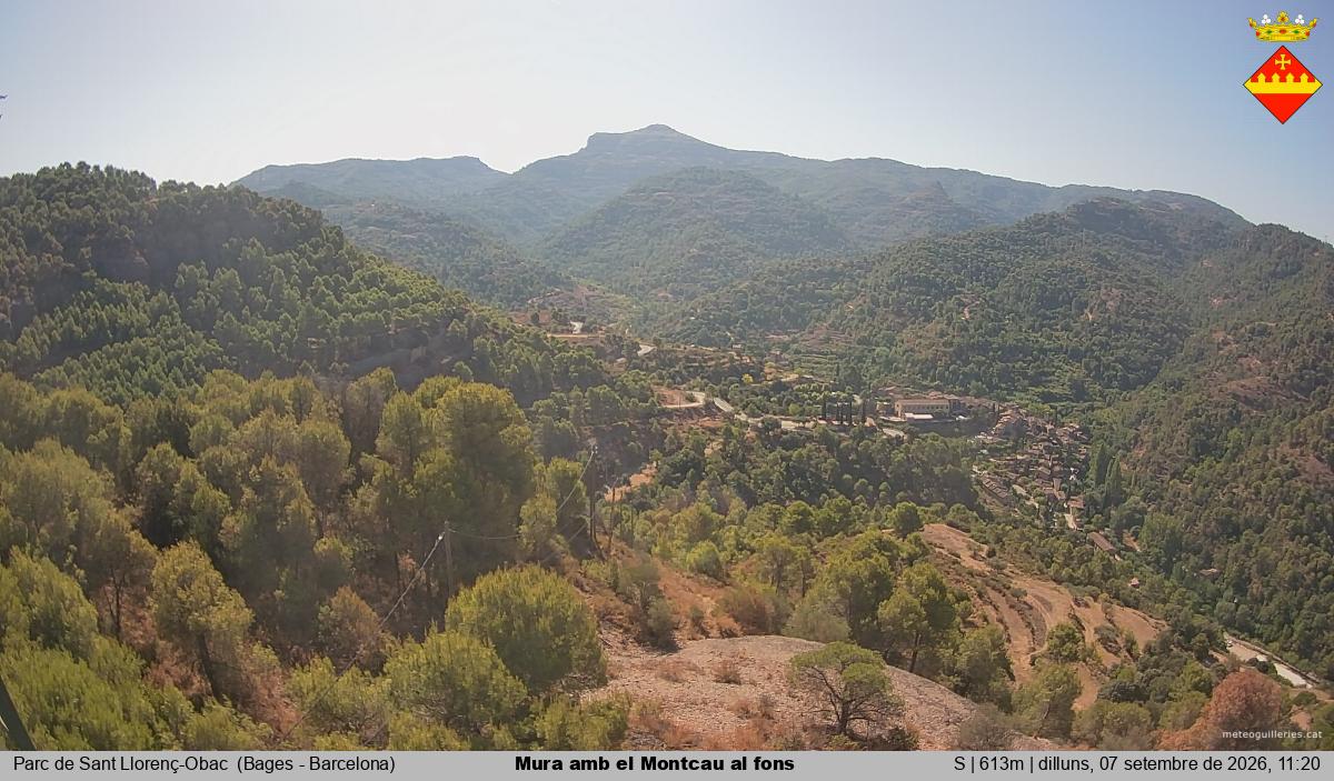 Mura amb el Montcau al fons