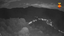 Webcams