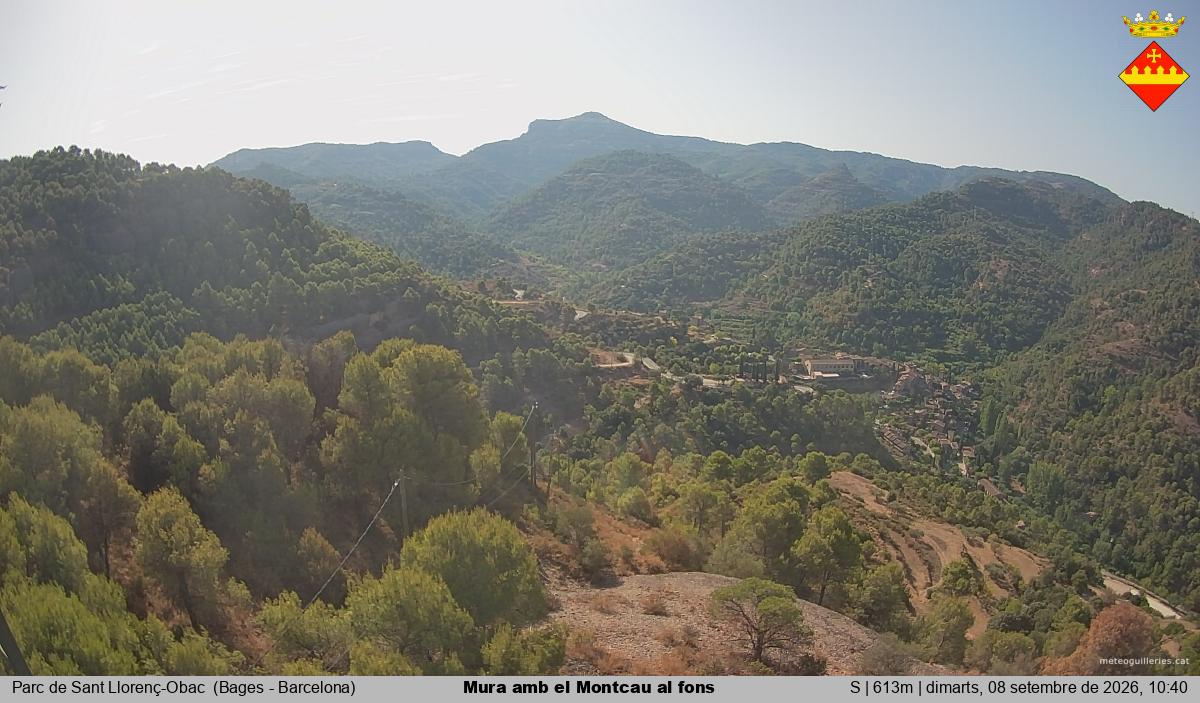 Mura amb el Montcau al fons