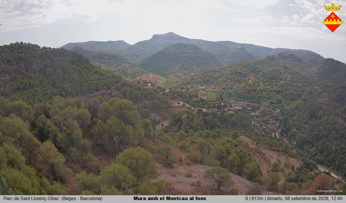 Mura amb el Montcau al fons