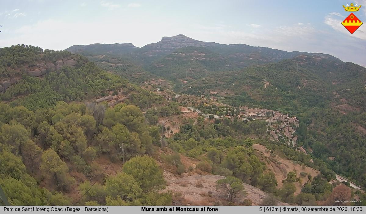 Mura amb el Montcau al fons