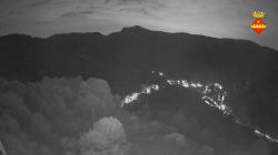 Webcams