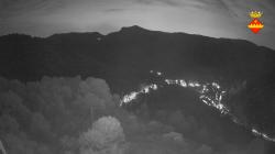 Webcams