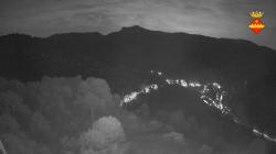 Webcams