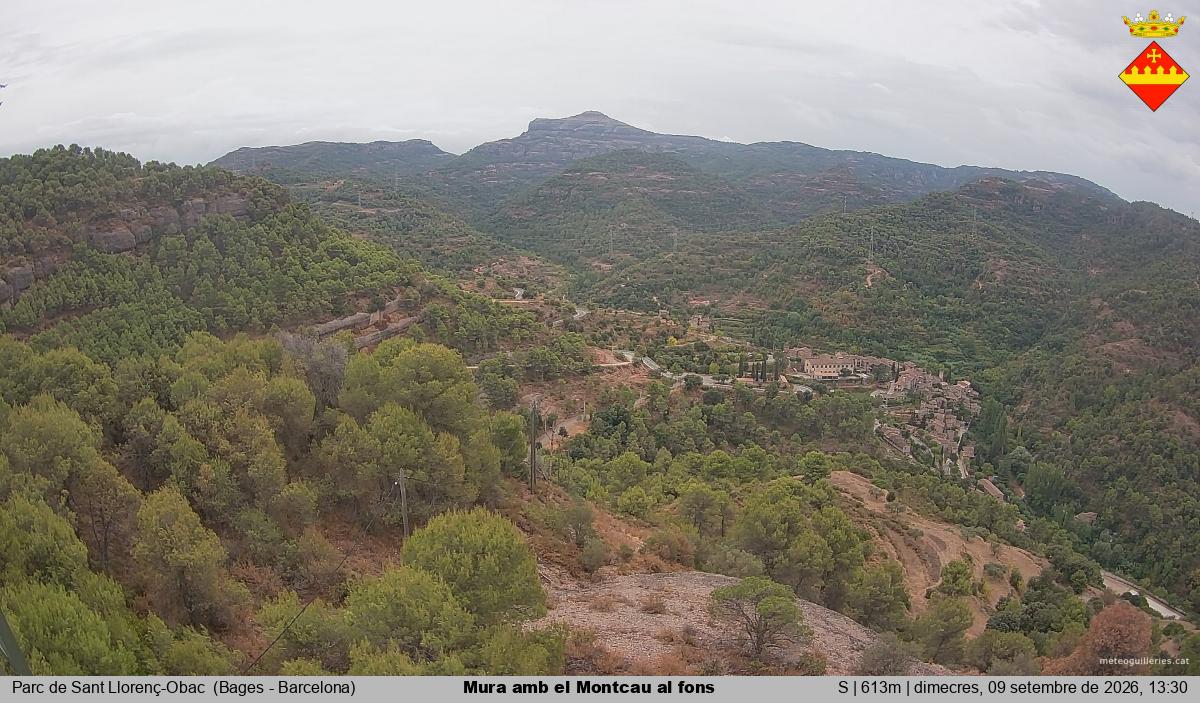 Mura amb el Montcau al fons