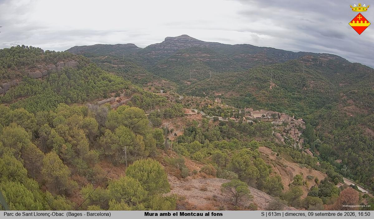 Mura amb el Montcau al fons