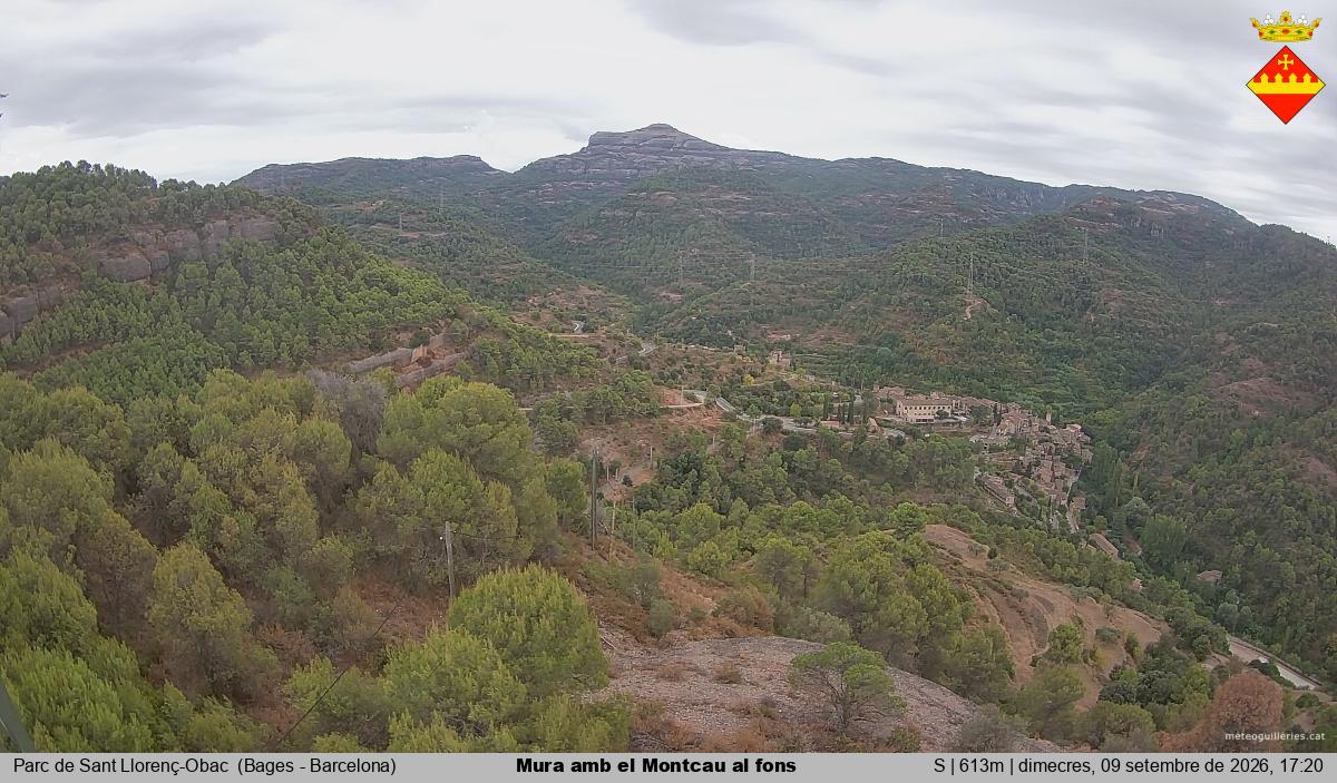Mura amb el Montcau al fons
