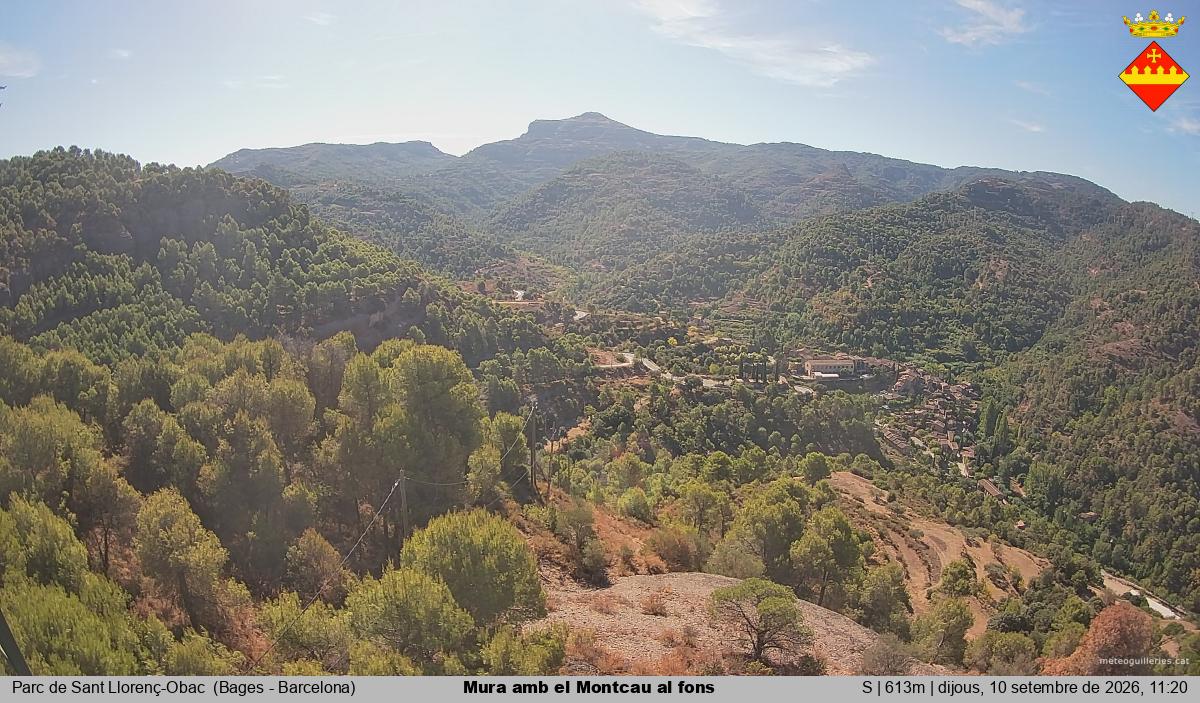 Mura amb el Montcau al fons