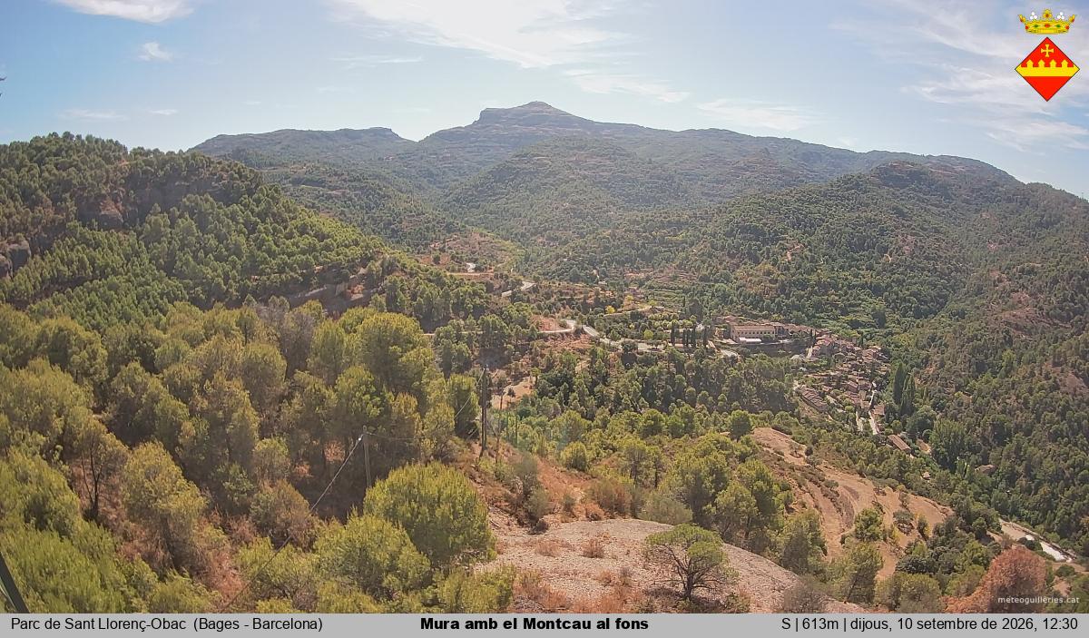 Mura amb el Montcau al fons