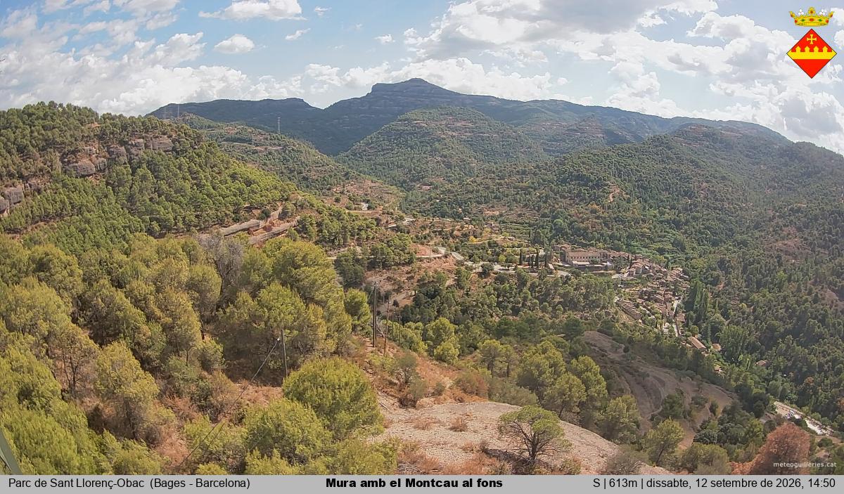 Mura amb el Montcau al fons