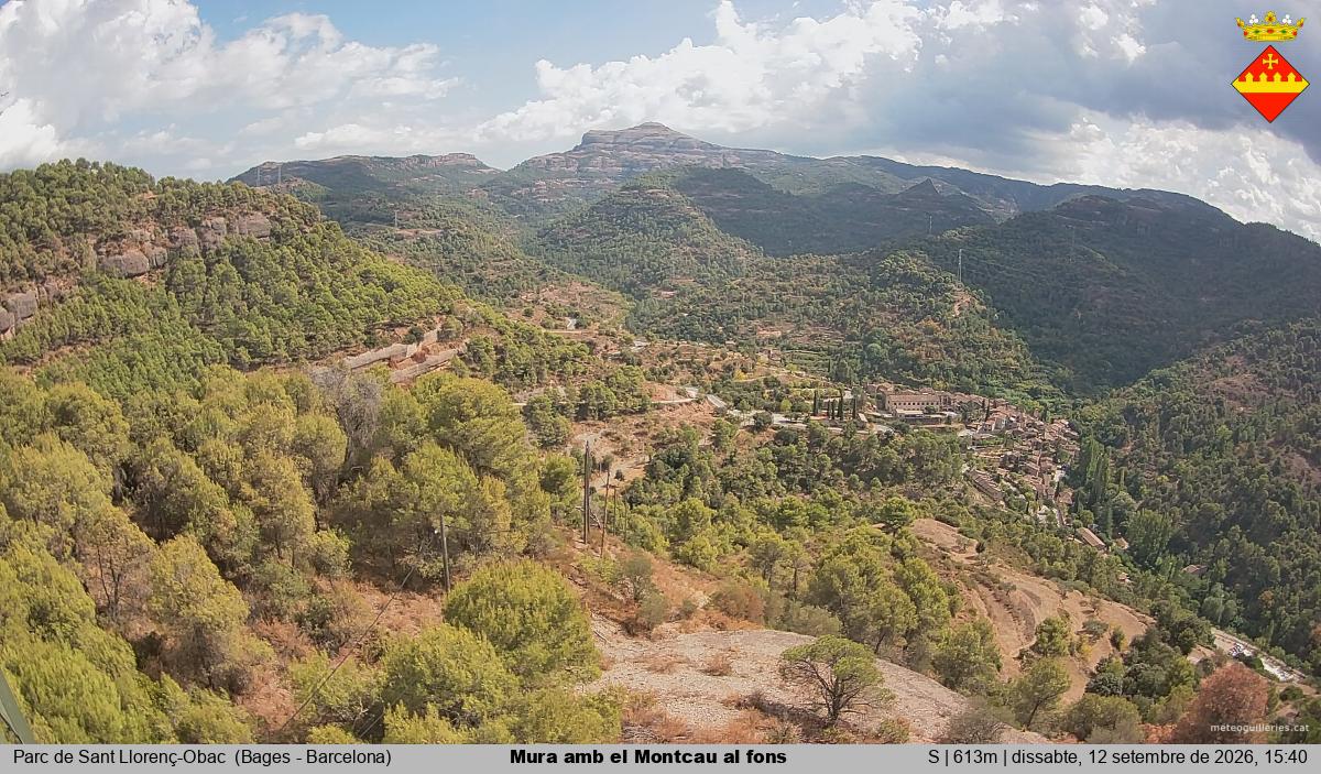 Mura amb el Montcau al fons