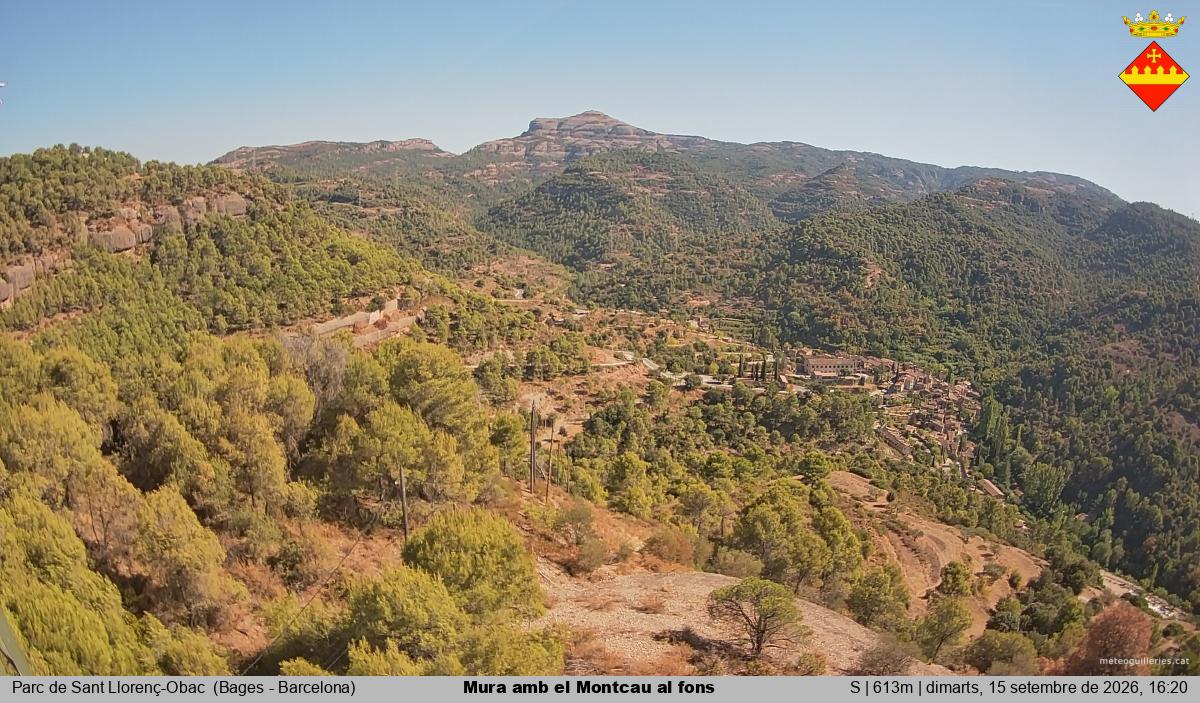 Mura amb el Montcau al fons