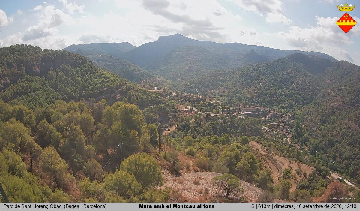 Mura amb el Montcau al fons