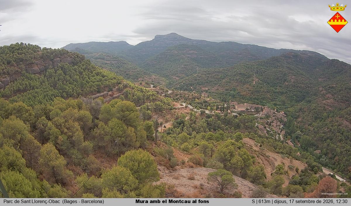 Mura amb el Montcau al fons