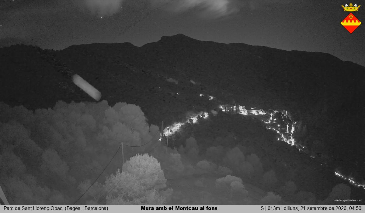 Mura amb el Montcau al fons