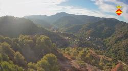 Webcams