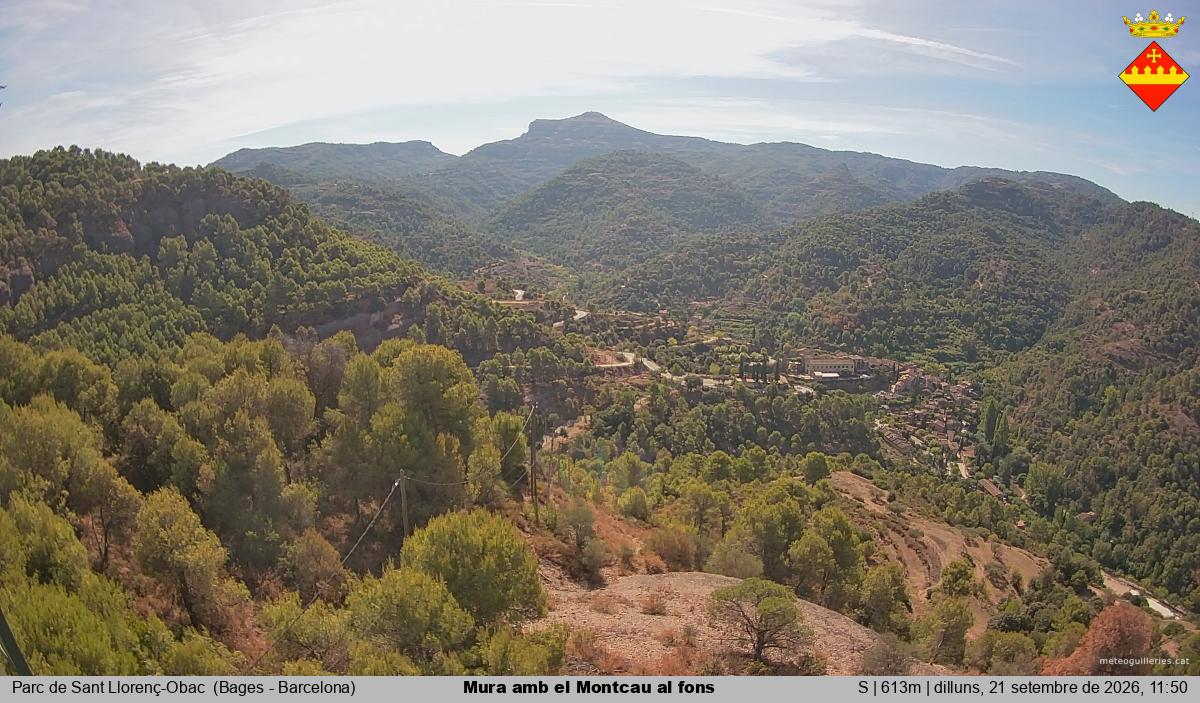 Mura amb el Montcau al fons