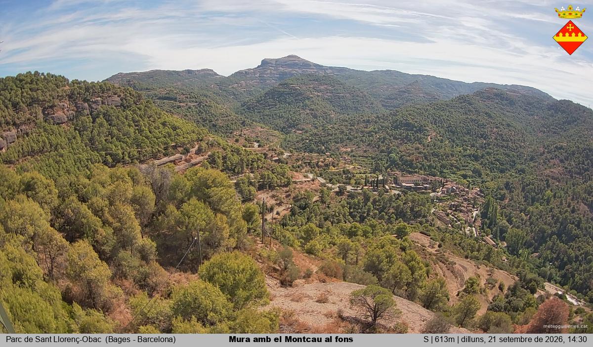 Mura amb el Montcau al fons