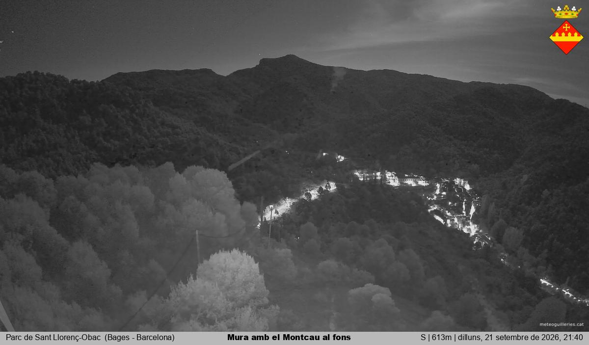 Mura amb el Montcau al fons