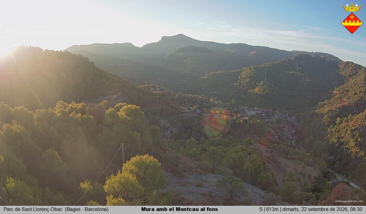 Mura amb el Montcau al fons